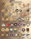 Scholastic Pins
